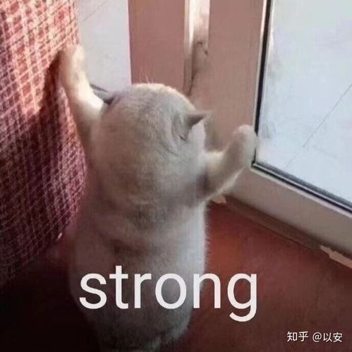 怎样去公立小学实习