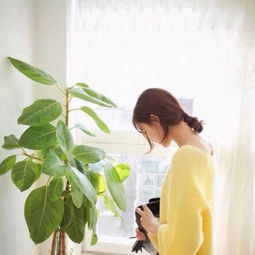 非主流女生头像2018小清新头像最新请你给我一份看得到的在乎