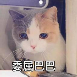 10大易发胖职业,居然没有警察......有你吗