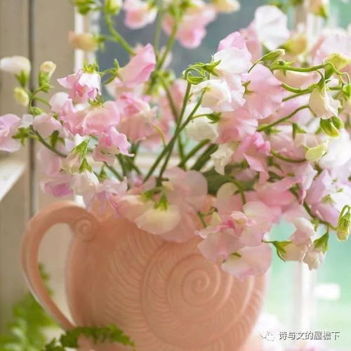 一个人的魅力在于他的精神深度深度好文
