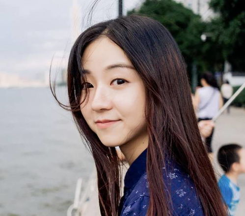 板坯火焰清理机