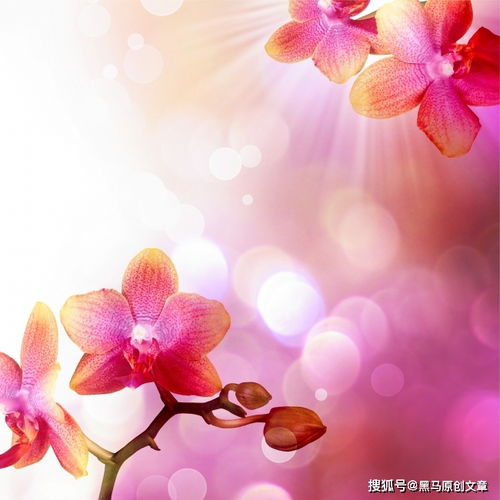 明明很讨厌自己的吝啬,却很难改掉,该怎么办