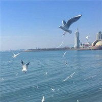 女生头像风景唯美意境微信
