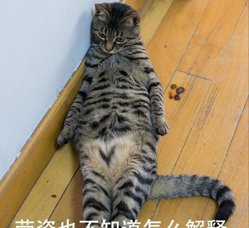 开心一刻和我女朋友一起坐公交车,她掐了我胳膊好几下
