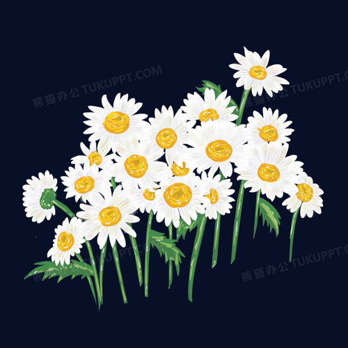 手绘插画菊花丛雏菊免抠元素png图片素材免费下载元素png26002600像素
