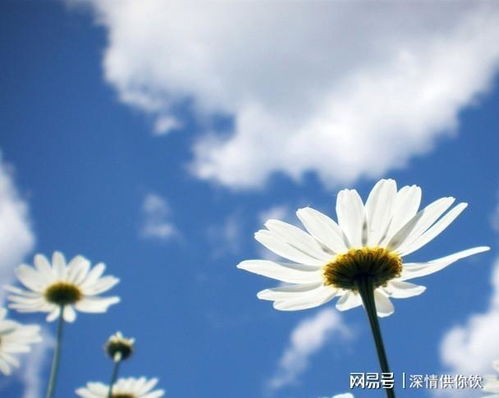 丈夫我弟要结婚,你拿30万给他付首付,妻子你的弟你养