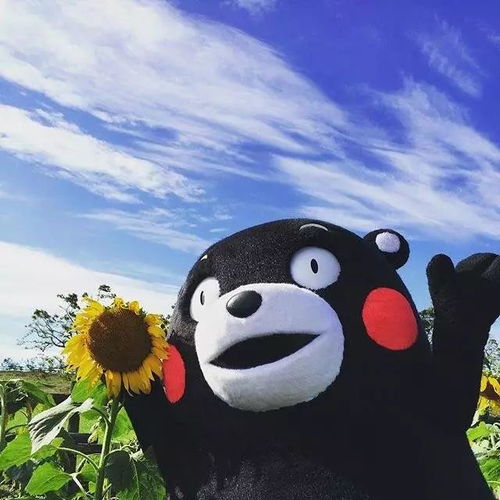 太原人挺住熬过了8月,好日子就要来了