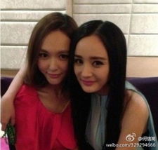 杨幂林青霞蔡依林被封中国好闺蜜的女星