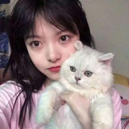 抱猫的女生头像,最新抱猫的高冷女生头像图片