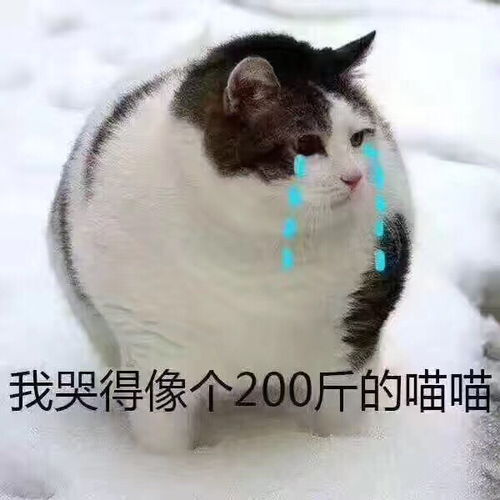 演唱会门口的黄牛跟警方有合作吗