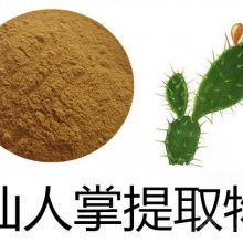 买仙人掌图片中国供应商