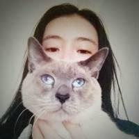 高冷猫咪头像女生头像抱猫咪的美女头像高冷