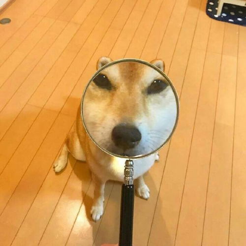 亲姐问我要女朋友照片要给吗