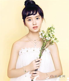 2013年度清纯氧气美女刘诗诗宋慧乔刘亦菲杀出重围