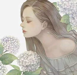 花一点时间,遇见美好