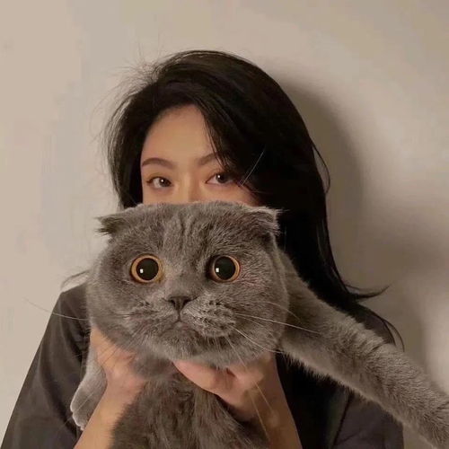 女生头像爱向人间借朝暮,悲喜为酬