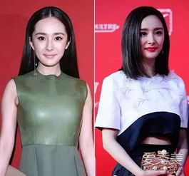 蔡少芬张歆艺郭采洁高俊熙女星发型越来越短