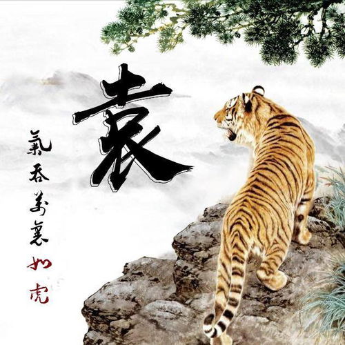 拿这些老虎做微信头像,写有你的姓氏,霸气外显