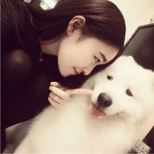 猫为什么总喜欢追自己尾巴为什么狗喜欢啃骨头