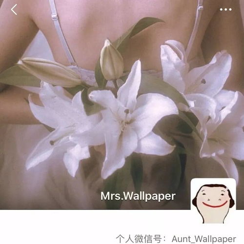 tp5保存图片背景黑色少女心背景图风环绕世界百圈,不如见你时心动