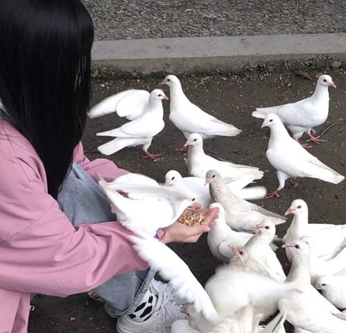 ins敲可爱不露脸女头