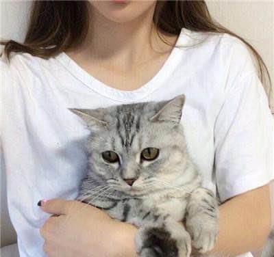 关于猫咪的10大冷知识,猫奴必看