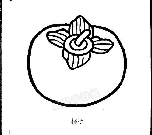 柿子简笔画图片画法