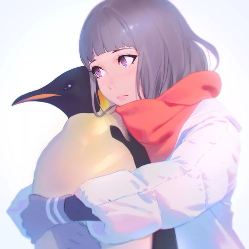 可爱满分的企鹅与少女唯美图片