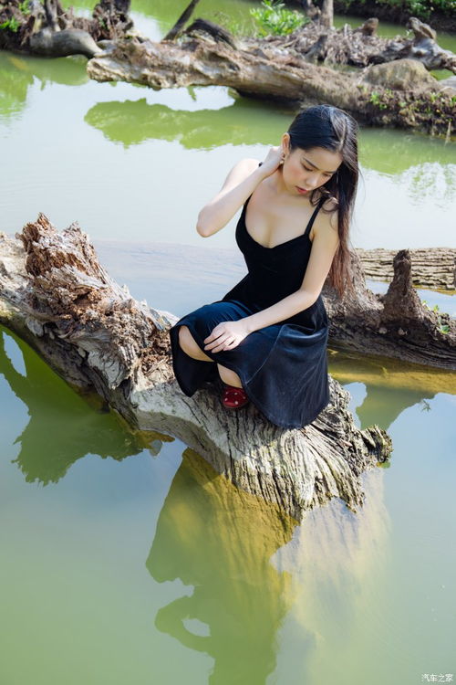 直男别找借口不会拍照启辰星与美少女打卡珠三角小众绝美拍摄点