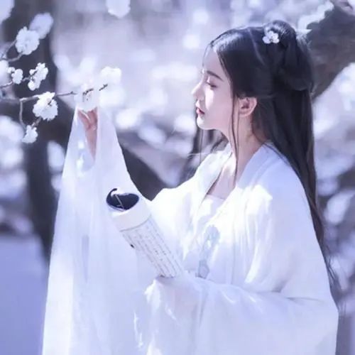 古言重生文贵妃你又作妖了仍不及一梦舒瑶的这本甜美