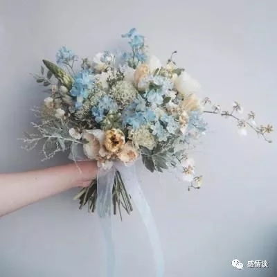 加拿大2.8蛋蛋预测