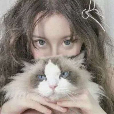 女生抱猫头像高清图片2020女生抱着猫很酷的头像