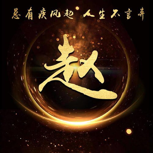 超炫金色霸气励志姓氏微信头像总有疾风起,人生不言弃