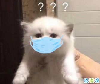 微信头像加口罩app下载微信头像p口罩下载v13.8.50说说手游网