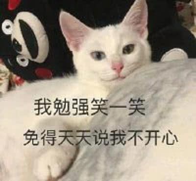 表情包和女朋友聊天表情包的正确打开方式