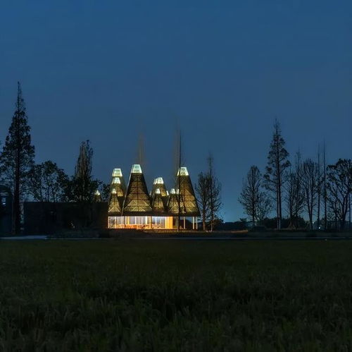 苏州市吴江区善湾村水杉林餐厅水边的风景