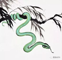 婚后聚财一流,越来越有富贵相的生肖女
