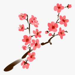 唯美头像图片清新简约