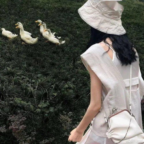 信佛的女人微信头像用什么楼道