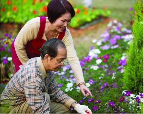 68岁老人坦言晚年想找个老伴儿,这几类女人一定要认清,很现实