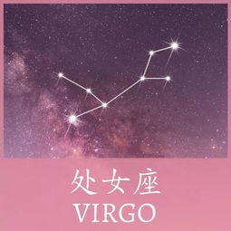 巨蟹双子事业顺处女双子开销大