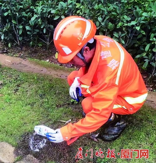 春游踏青飞虫多专家提醒少穿这两种颜色衣服