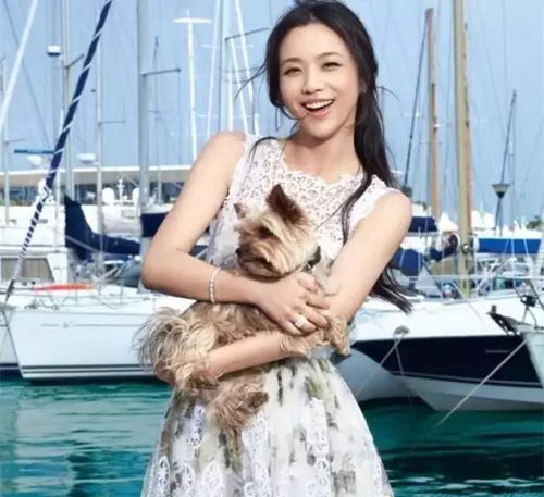 明星选错发型是长这样的