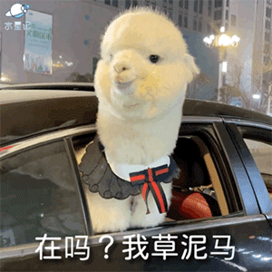 那些神反转的沙雕搞笑段子,笑skr人