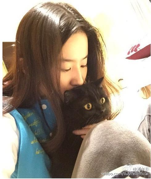 对比倪妮虐猫事件,张天爱对猫的这个行为更过分,网友放开它