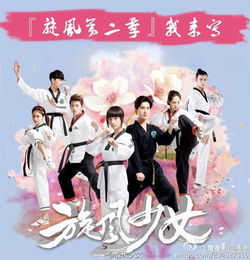 谁要旋风少女的图片