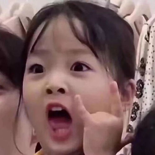 码收藏夹