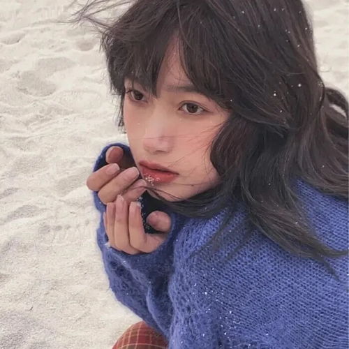 神仙女头欲买桂花同载酒