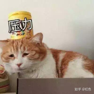 如何准备全国计算机二级考试office