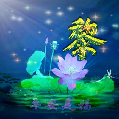 微信最吉利的好看头像,平安是福莲花主题姓氏微信头像图片